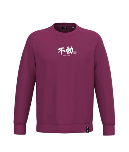GRAPHIC SWEATSHIRT #3 | Sudadera con estampado Samurai